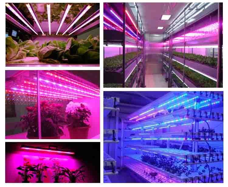 1639379091472473.jpg 4.jpg